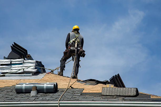 Professional Roofing technician working in Mc David, FL